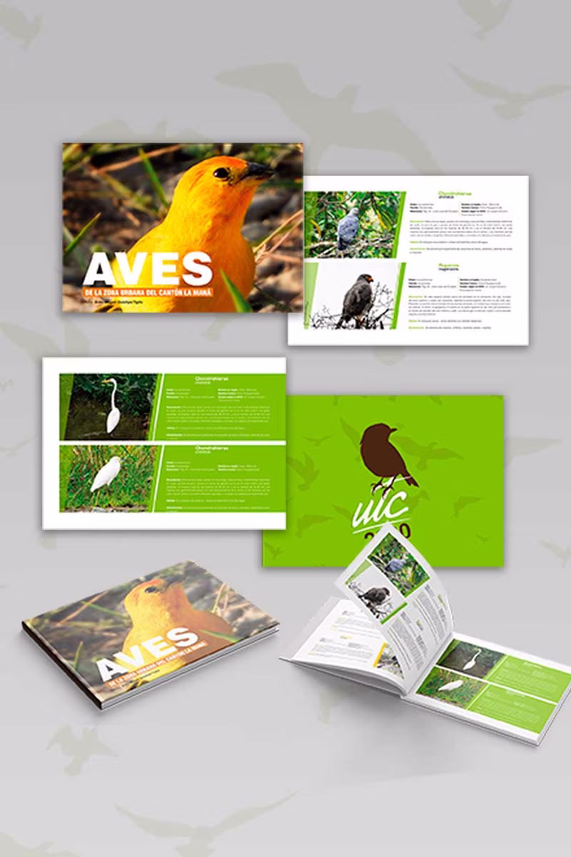 Diagramación de Libros